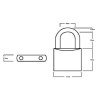 Squire LN5T Lion Brass Padlocks 5 Pin 50mm (2)