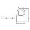 Squire LN5 Lion Brass Padlock 5 Pin 50mm