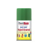 Fast Dry Enamel Aerosol Garden Green 100ml