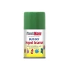 Fast Dry Enamel Aerosol Garden Green 100ml