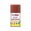 Fast Dry Enamel Aerosol Nut Brown 100ml