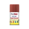 Fast Dry Enamel Aerosol Nut Brown 100ml