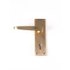 Premium Victorian Brass Lock Furniture