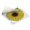 Rentokil Advanced Window Fly Traps (Pack of 4)