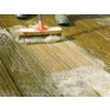 Ronseal Decking Cleaner & Reviver 5 Litre