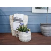 Ronseal Fence Life Plus Cornflower 5 Litre