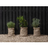 Ronseal Fence Life Plus+ Tudor Black Oak 5 Litre