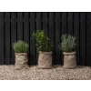 Ronseal Fence Life Plus+ Tudor Black Oak 5 Litre