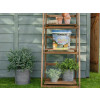 Ronseal Fence Life Plus+ Sage 5 Litre