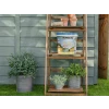 Ronseal Fence Life Plus+ Sage 5 Litre