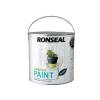Ronseal Garden Paint Black Bird 2.5 Litre