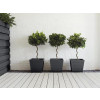 Ronseal Garden Paint Black Bird 2.5 Litre