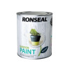 Ronseal Garden Paint Black Bird 750ml