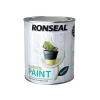 Ronseal Garden Paint Black Bird 750ml