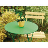 Ronseal Garden Paint Clover 750ml