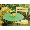 Ronseal Garden Paint Clover 750ml