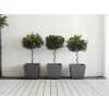Ronseal Garden Paint Charcoal Grey 2.5 Litre