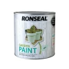Ronseal Garden Paint Mint 2.5 Litre