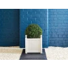 Ronseal Garden Paint Midnight Blue 2.5 Litre