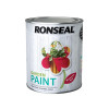 Ronseal Garden Paint Moroccan Red 750ml