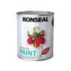 Ronseal Garden Paint Moroccan Red 750ml
