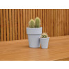 Ronseal Garden Paint Pebble 2.5 Litre