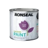 Ronseal Garden Paint Purple Berry 250ml