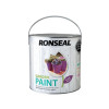 Ronseal Garden Paint Purple Berry 2.5 Litre