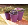 Ronseal Garden Paint Purple Berry 2.5 Litre