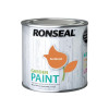 Ronseal Garden Paint Sunburst 250ml