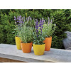 Ronseal Garden Paint Sunburst 750ml