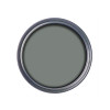 Ronseal Garden Paint Willow 250ml