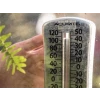 Shurtape T-REX® Clear Mounting Tape 25mm x 1.5m