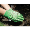 Town and Country TGL216 Original Aquasure Cotton Ladies Gloves (One Size)