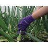 Town and Country TGL272S Master Gardener Ladies Aubergine Gloves (Small)