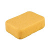 Super Sponge