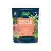 Westland Cacti & Succulent Potting Mix 4 litre