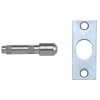 P125 Hinge Bolts Brass