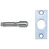 Yale P125 Hinge Bolts Zinc