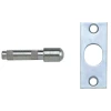 Yale P125 Hinge Bolts Zinc