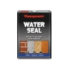 Thompson's Water Seal 5 Litre