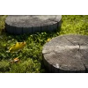 Stepping Stone Driftwod Log 360mm